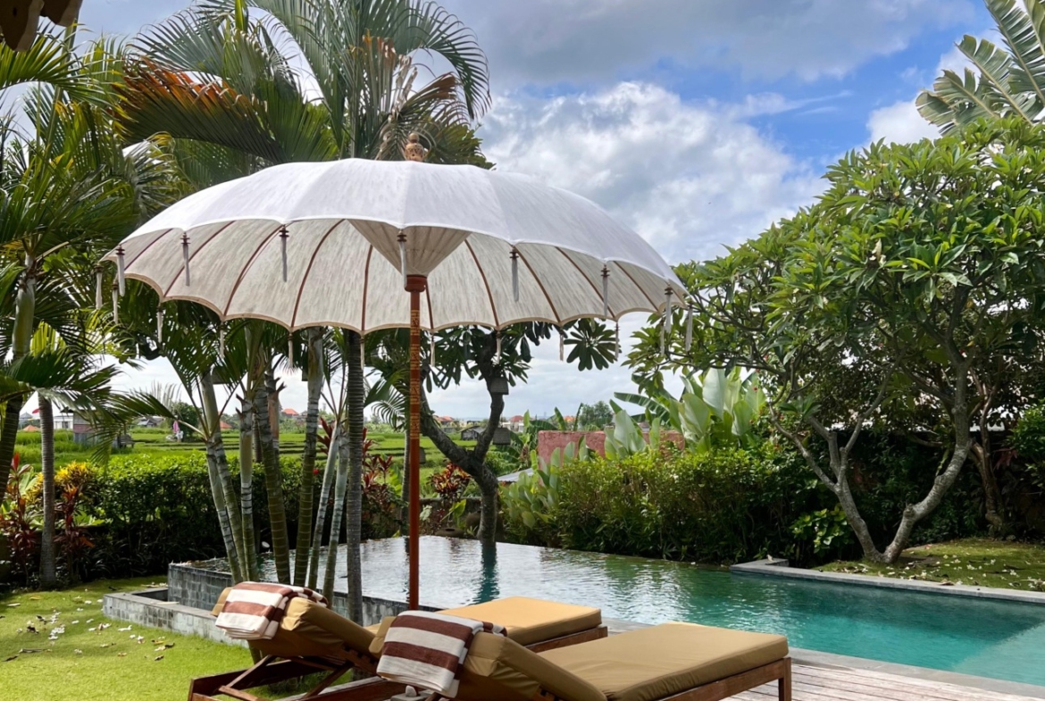 Rice field View Villa in Babakan for Sale