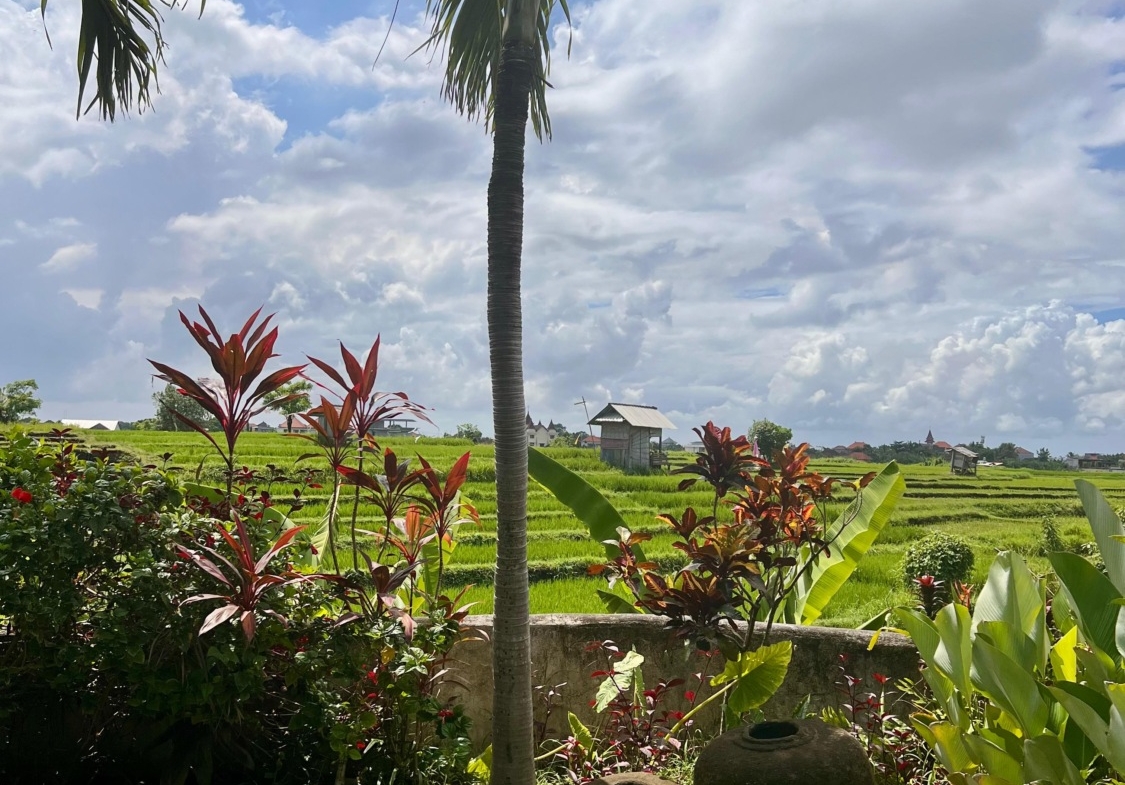 4 bedroom villa in babakan for sale